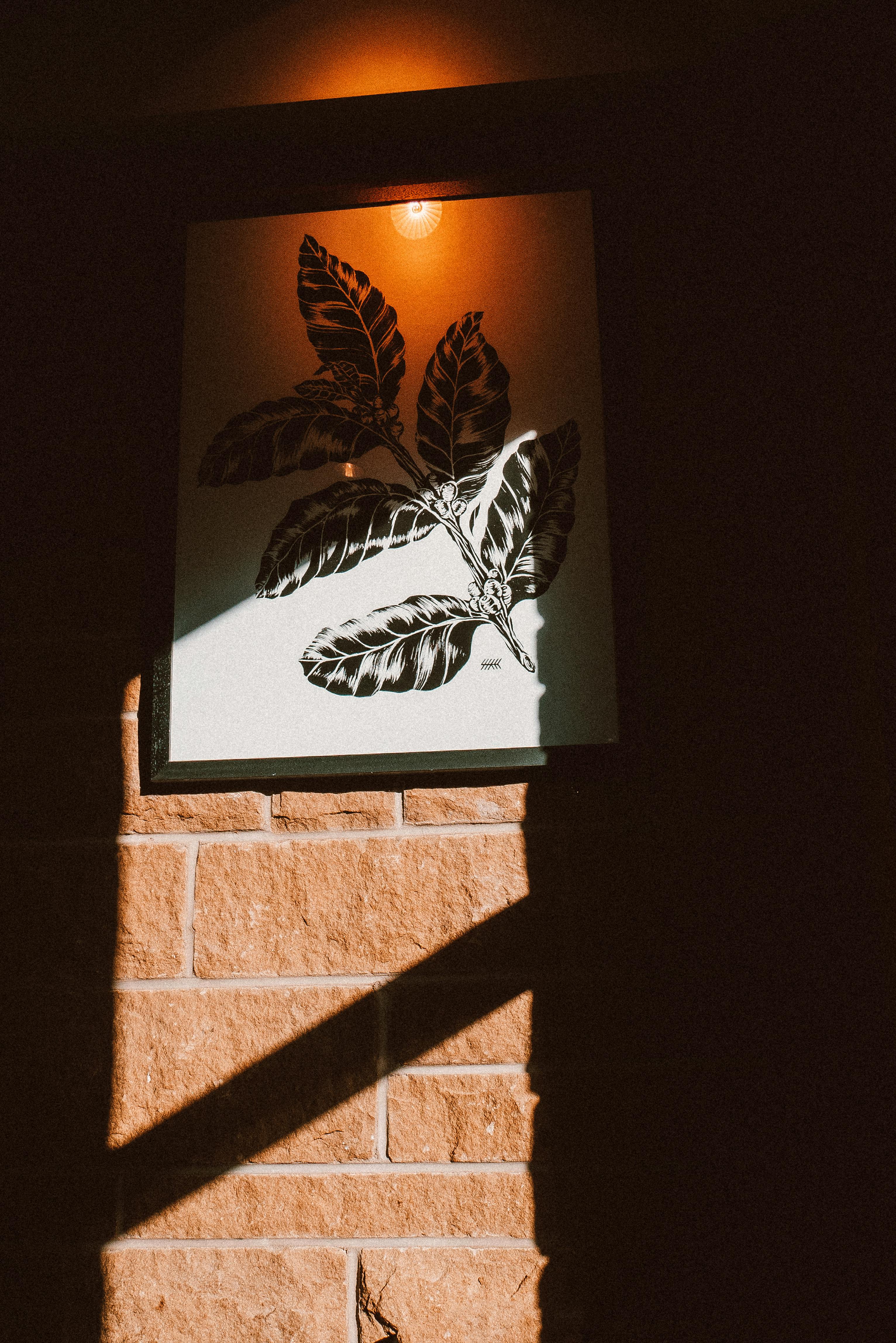 Framed botanical print casting intricate shadows on a brick wall in warm lighting.