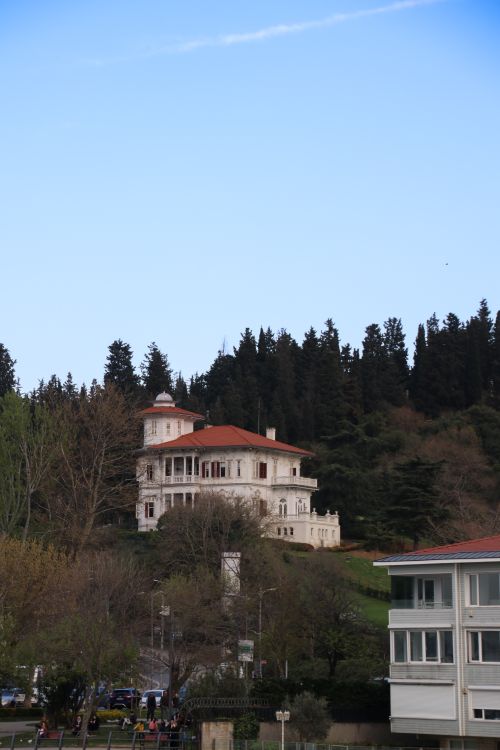Free stock photo of bosphorus, clear blue sky, forest Stock Photo