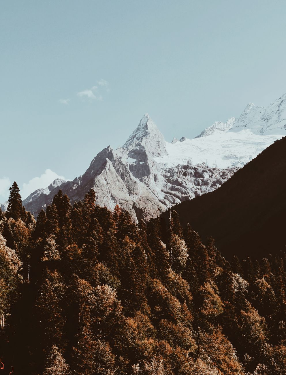 Stunning mountain peak surrounded by autumn forest with snow-capped backdrop. Perfect for nature lovers.