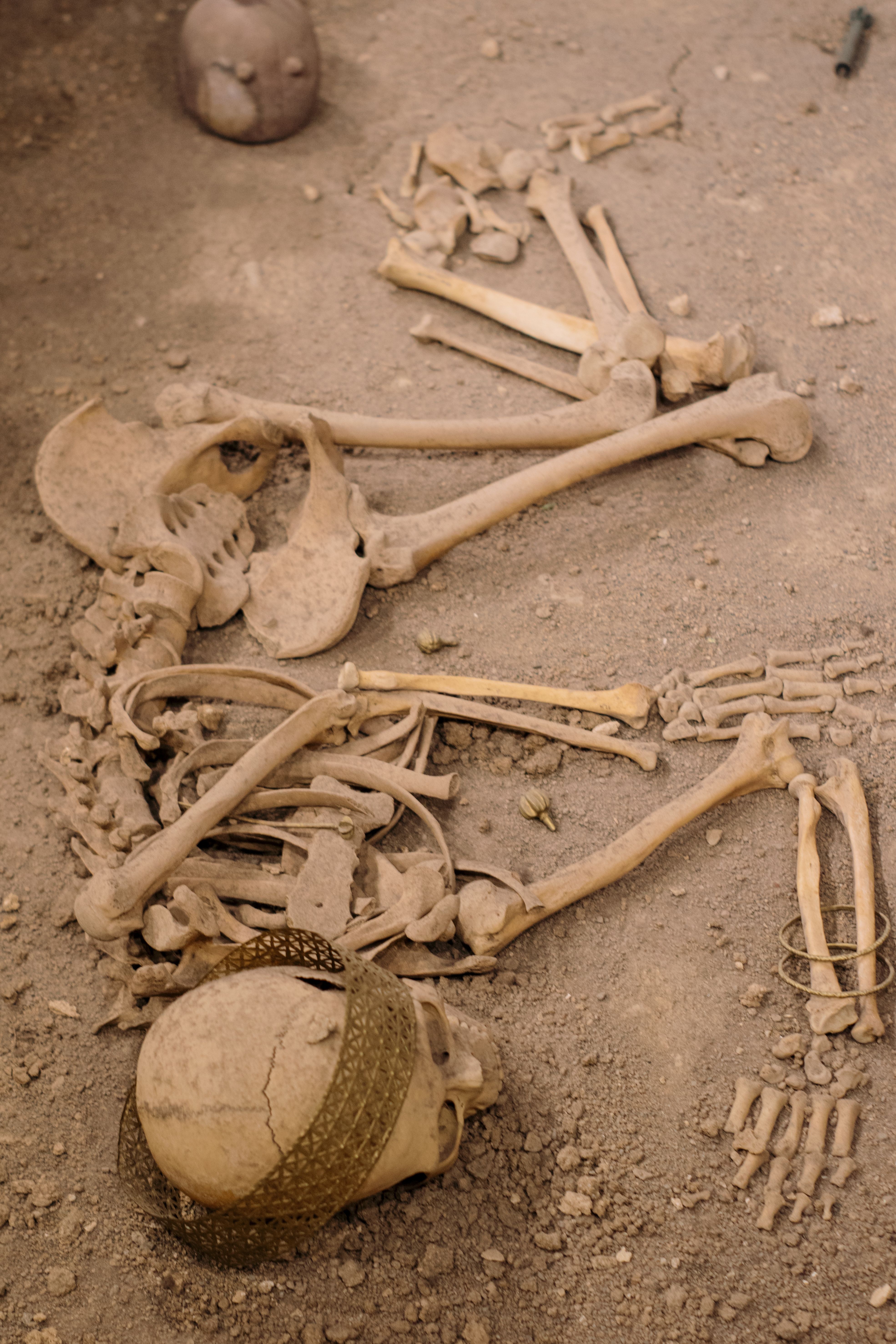 Archaeologists Uncover Thriving Byzantine City in Egypt's Western Desert, Revealing Ancient Daily Life