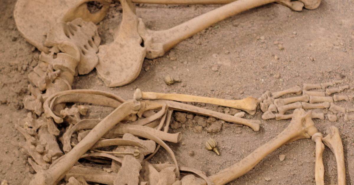 Understanding human evolution through pivotal fossil discoveries Understanding human evolution through pivotal fossil discoveries