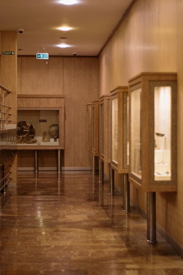 Museum corridor lined with illuminated glass display cases