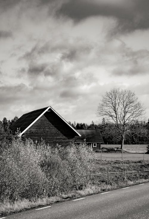 Bushes and Wooden House by Road in Village in Black and White