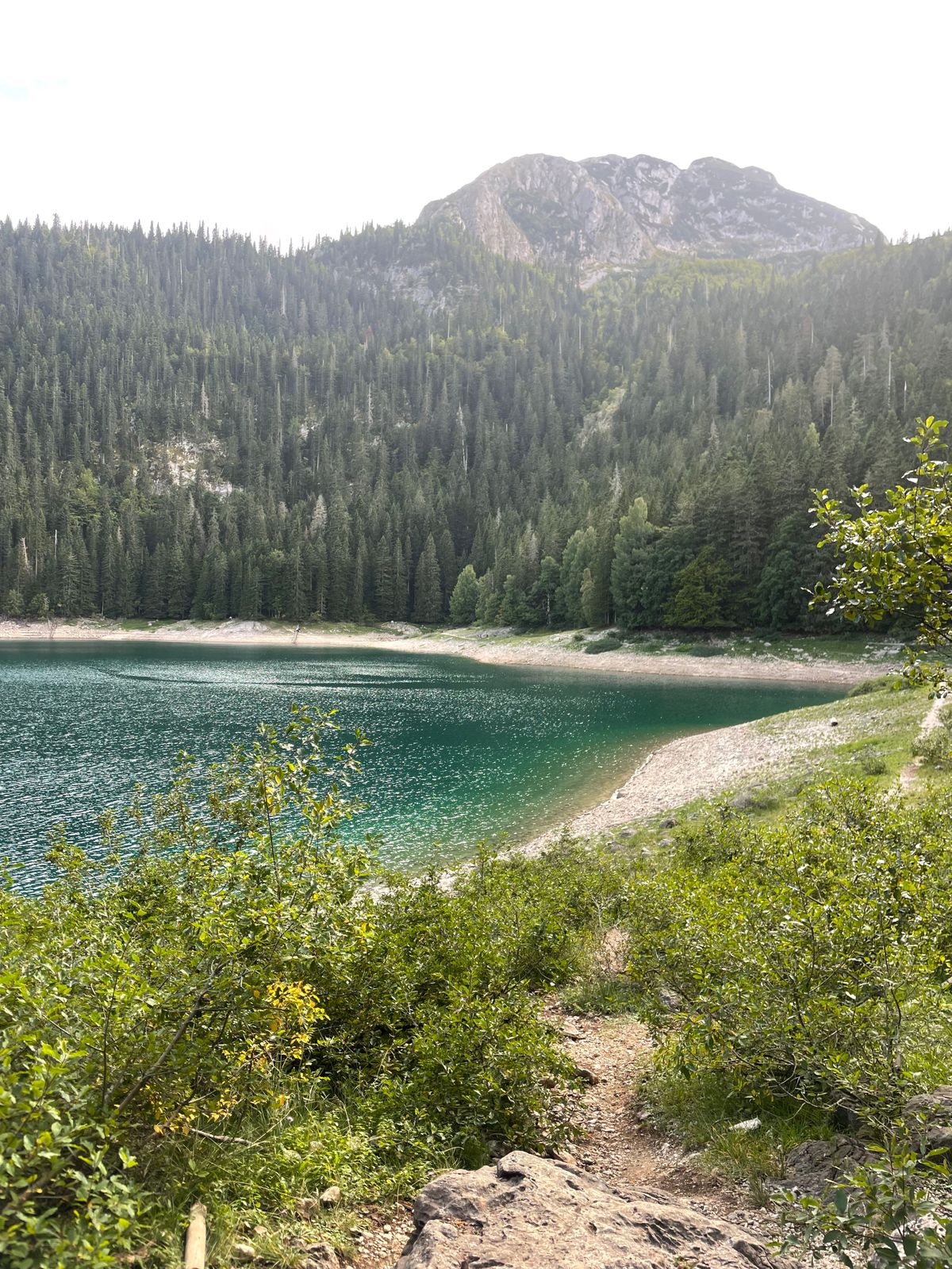 Black Lake ringed by pine forest in Durmitor, Zabljak