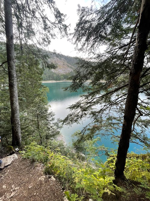 Fotobanka s bezplatnými fotkami na tému jazero, lakeshore, na brehu jazera