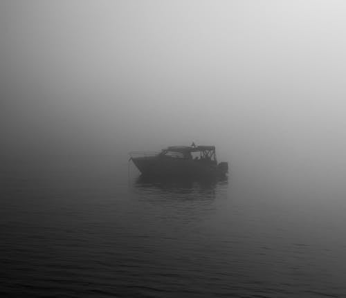 foggy dream