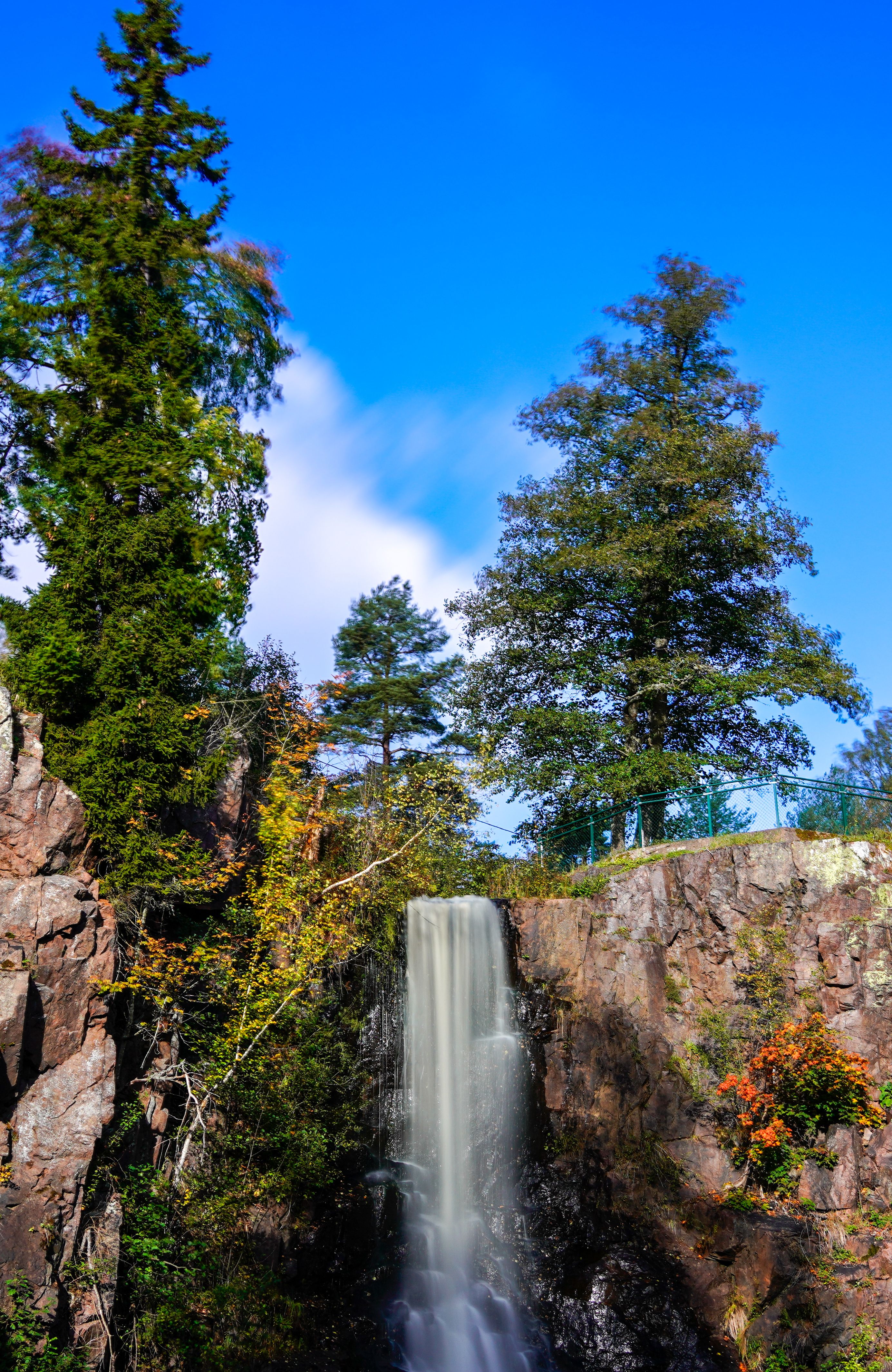 Trees over Waterfall · Free Stock Photo