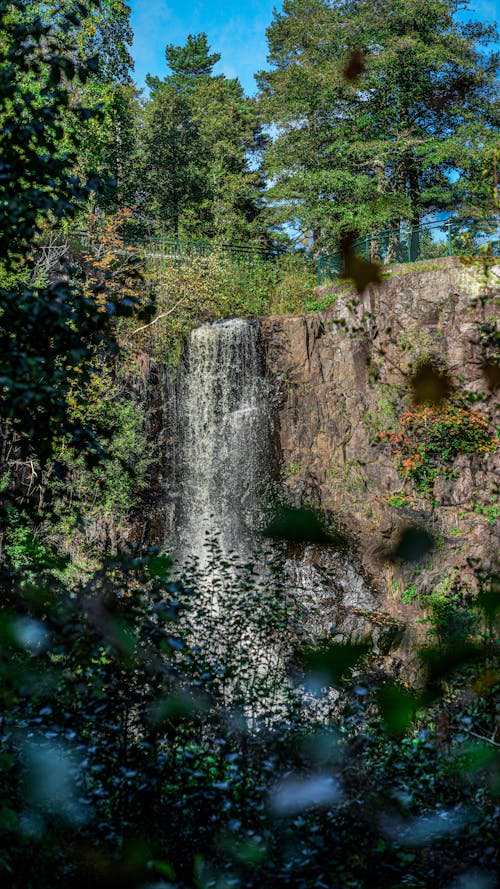 Immagine gratuita di acqua corrente, alberi, cascata