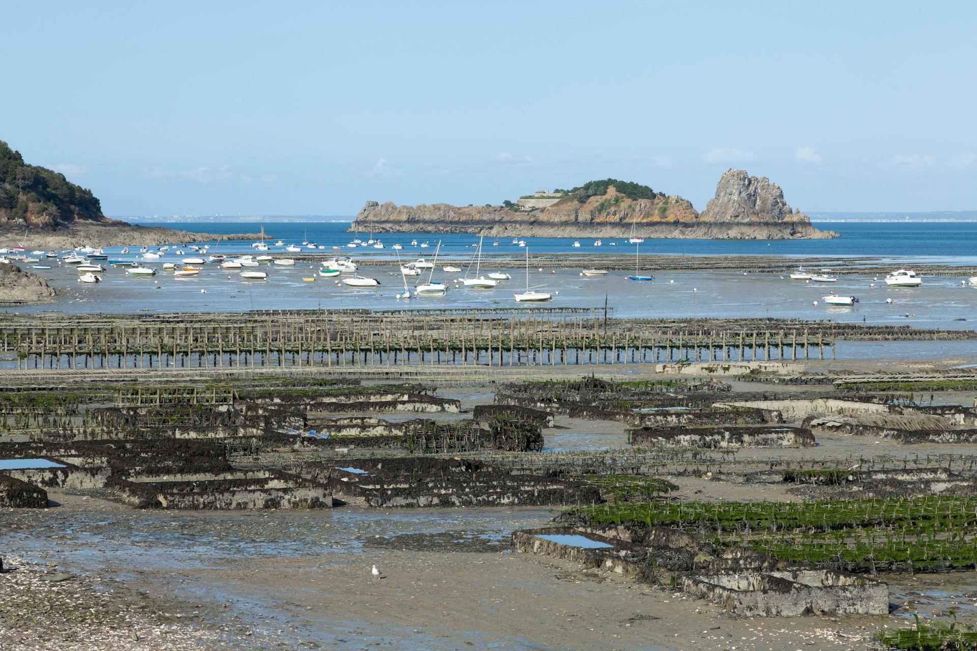 Rocky Shore in Low Tide, with Oyster Farm and Boats