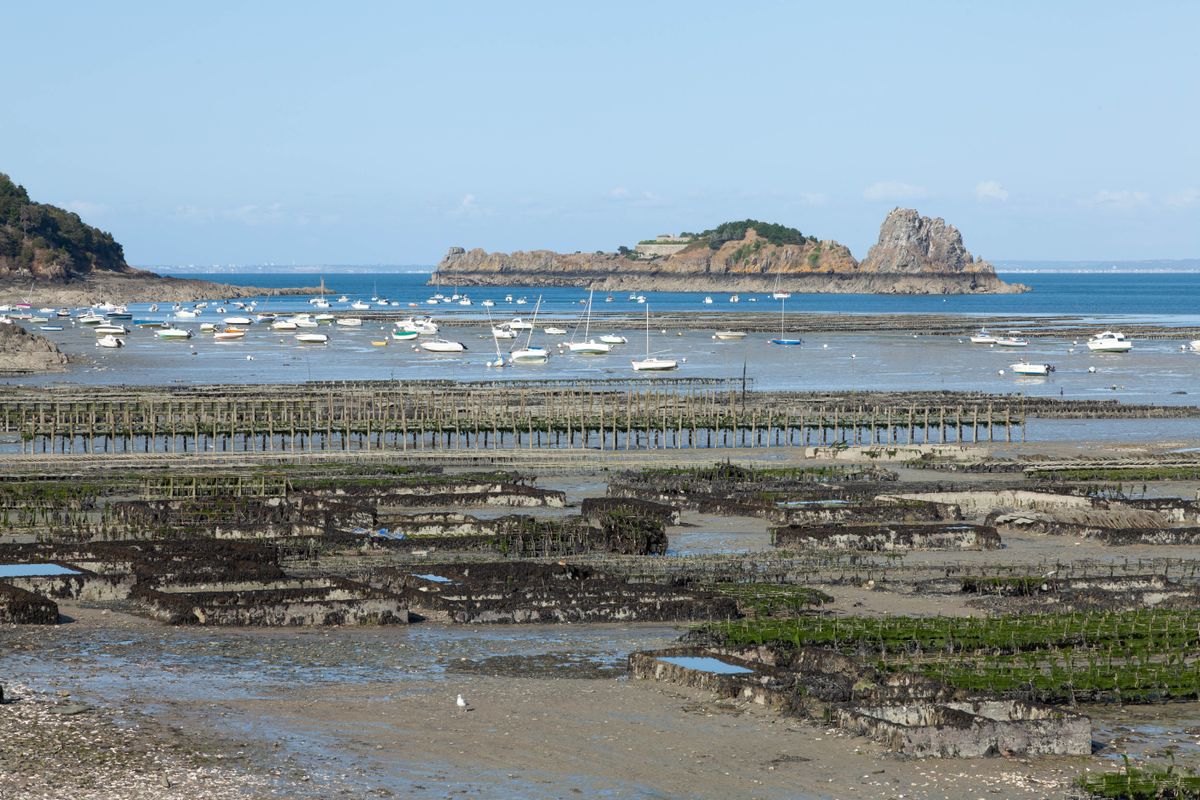 Peaceful view of oyster farms and boats at low tide in Cancale, Brittany, France. Illustrative editorial photograph.