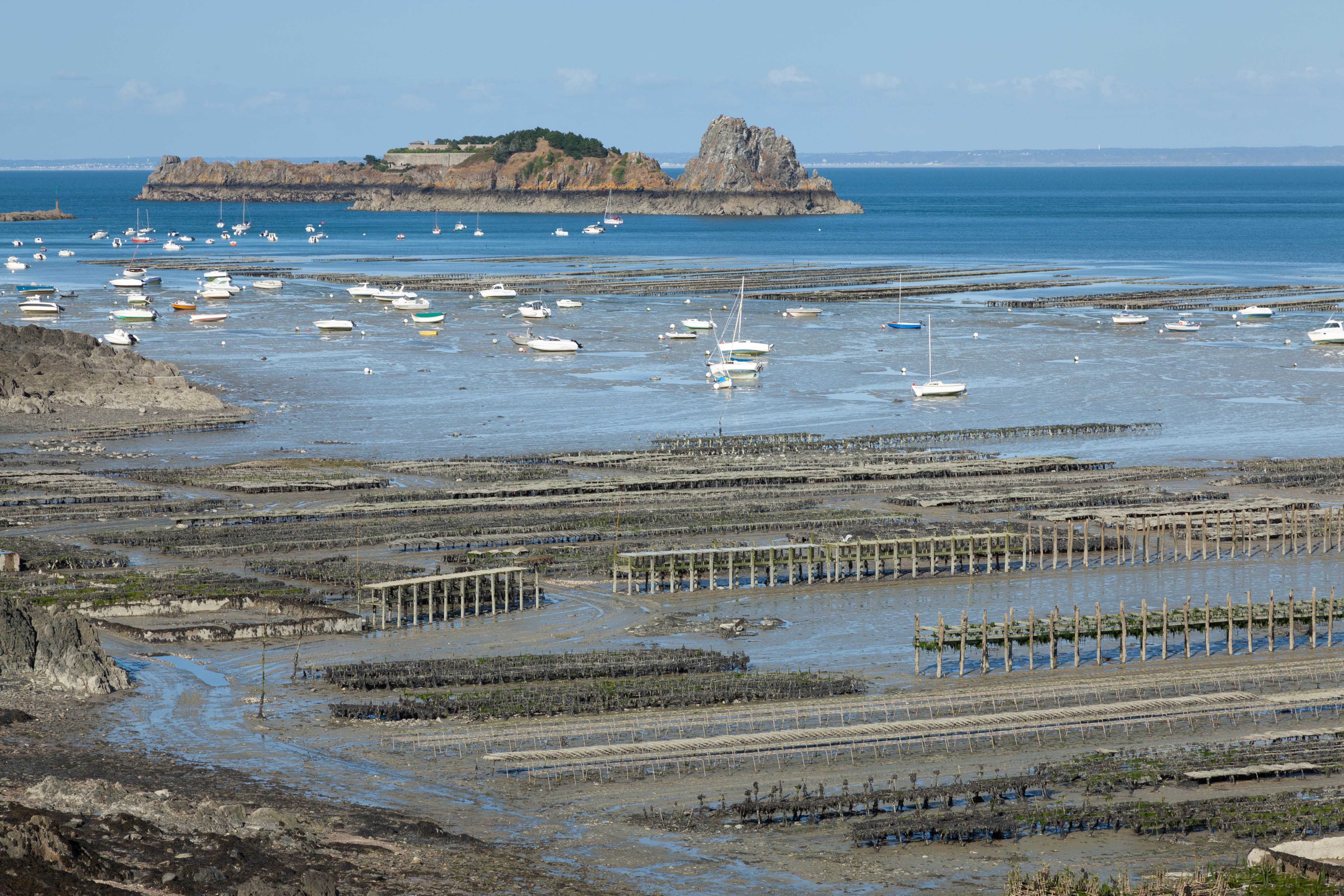 Île aux Oiseaux & the Tchanquées