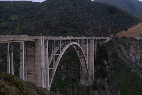 Δωρεάν στοκ φωτογραφιών με αγροτικός, γέφυρα bixby creek, δέντρα