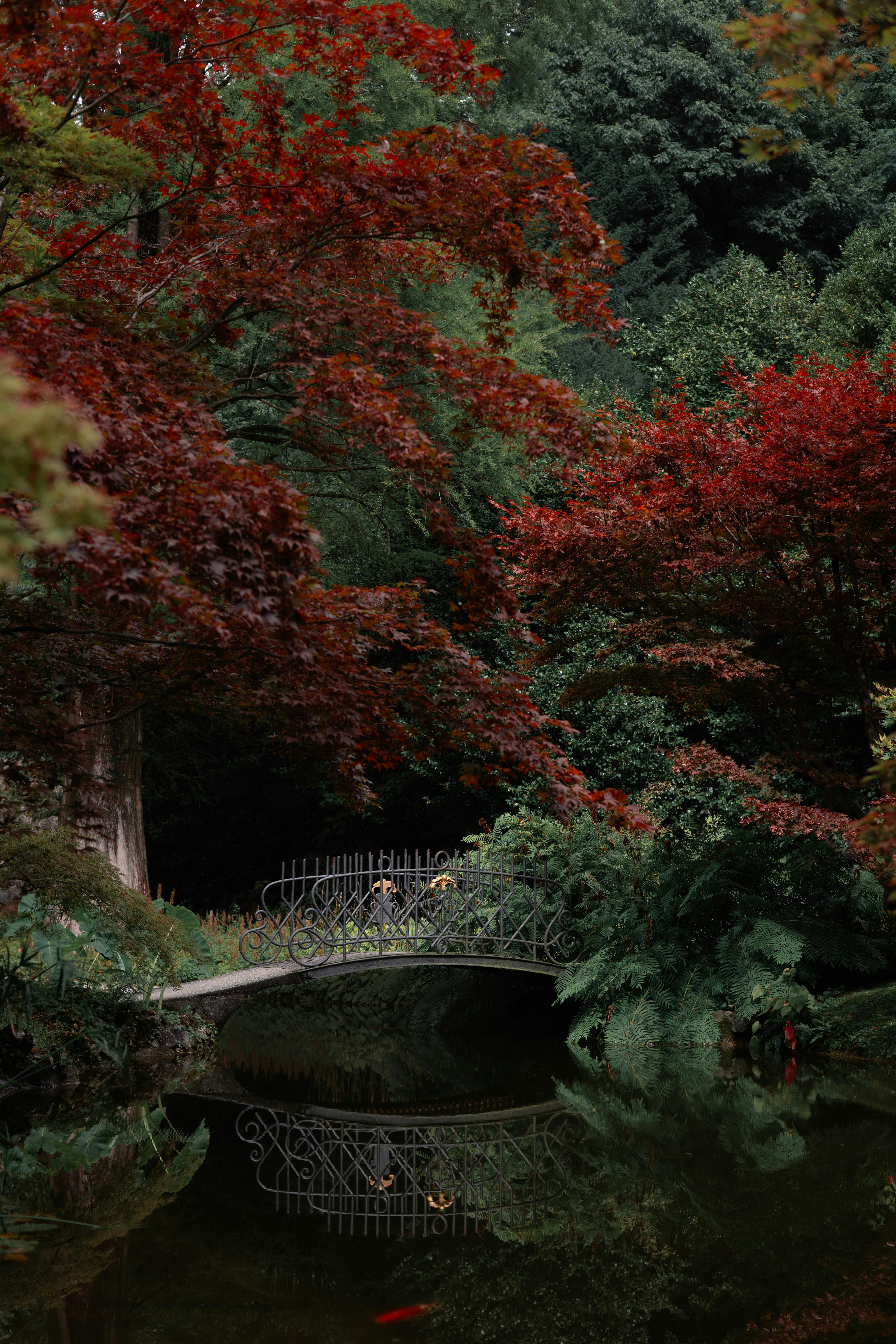 A tranquil park featuring a footbridge over a pond surrounded by vibrant autumn trees.