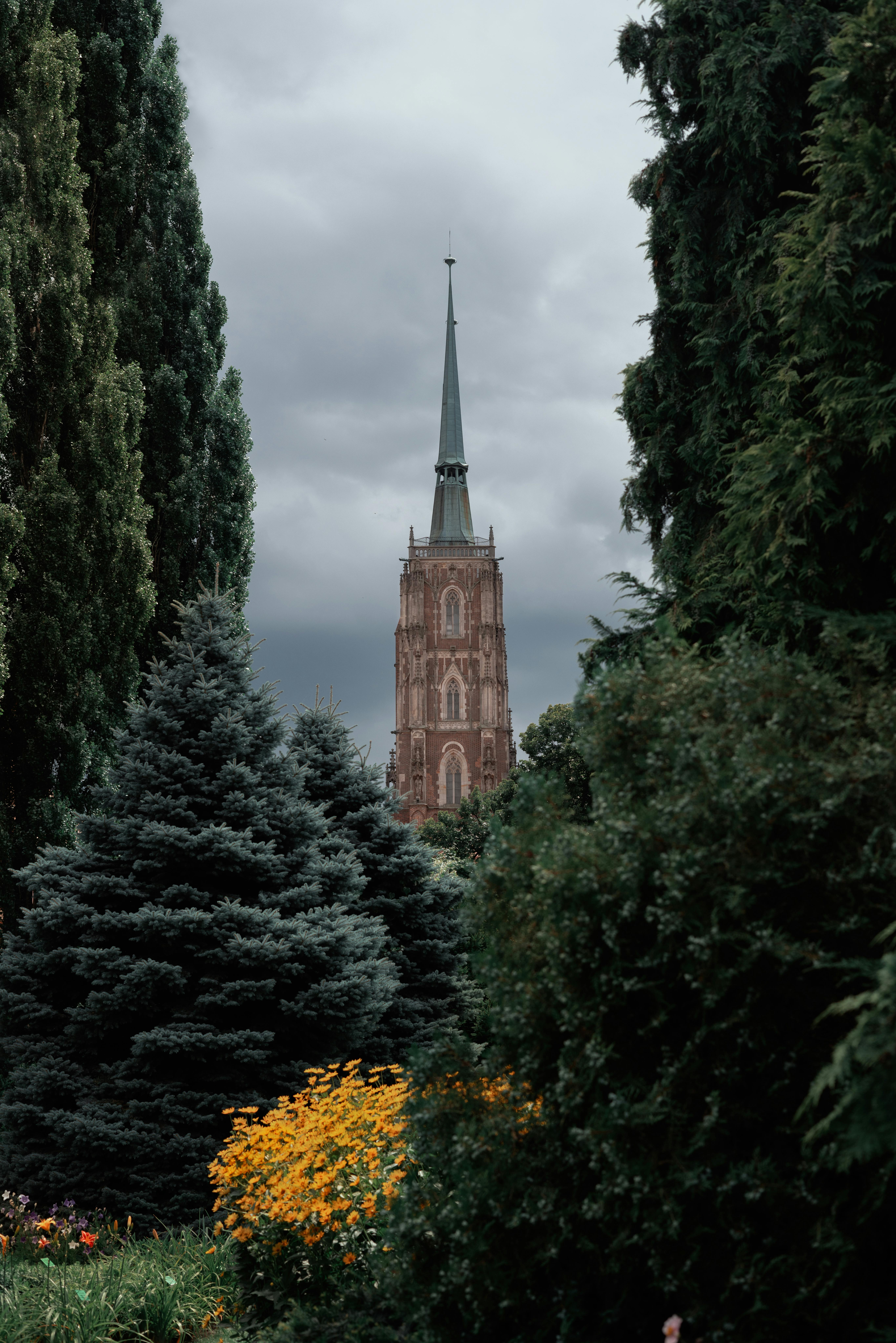 A striking Gothic church tower rising between lush trees under a cloudy sky.