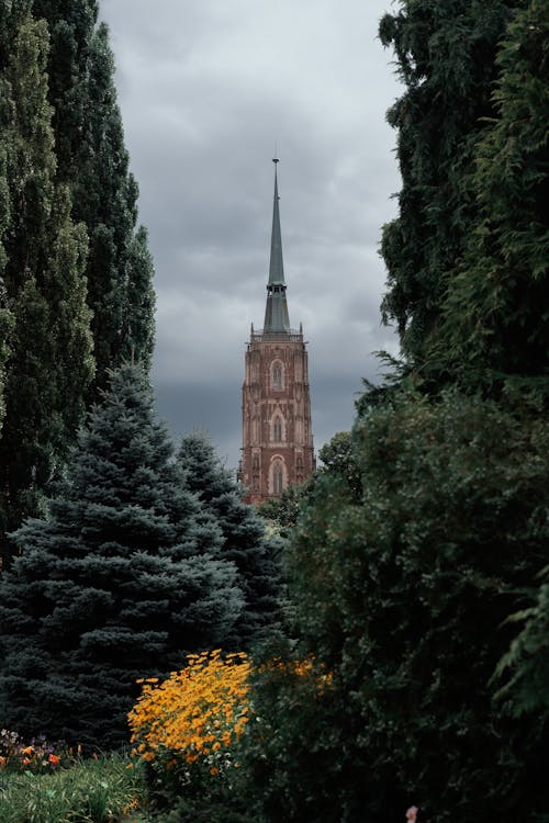 Fotobanka s bezplatnými fotkami na tému budova, kostol, mestský