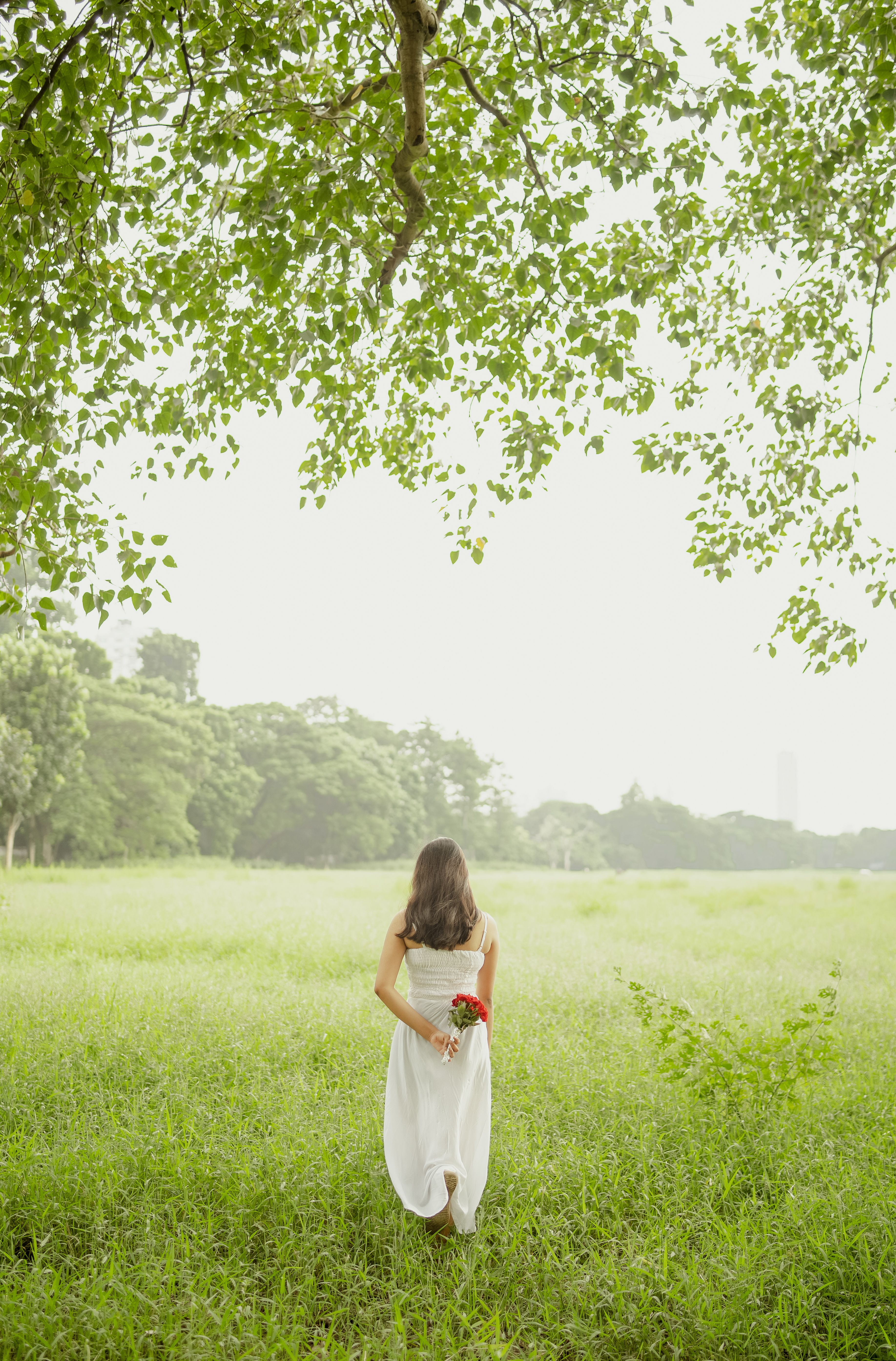 A woman in a white dress holding red flowers walks across a vibrant green field under a tree.
