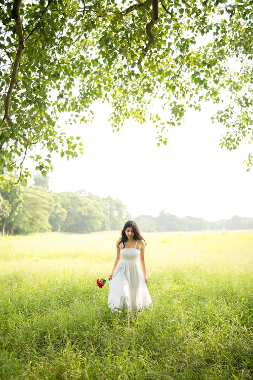 Gratis lagerfoto af blomster, brunette, elegance