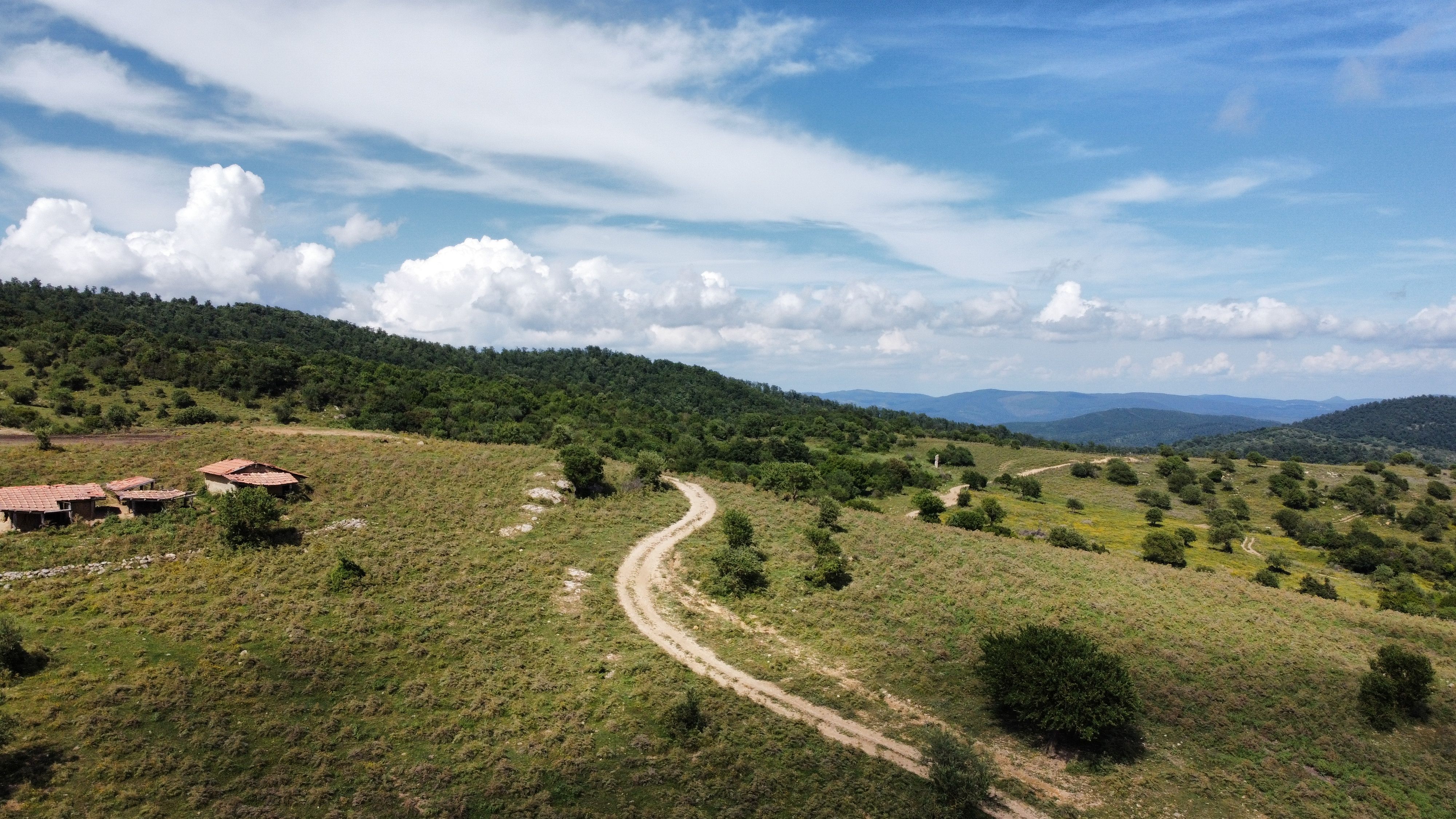 Green Countryside with Bushes and a Footpath · Free Stock Photo