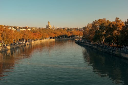 Immagine gratuita di alberi, autunno, cadere