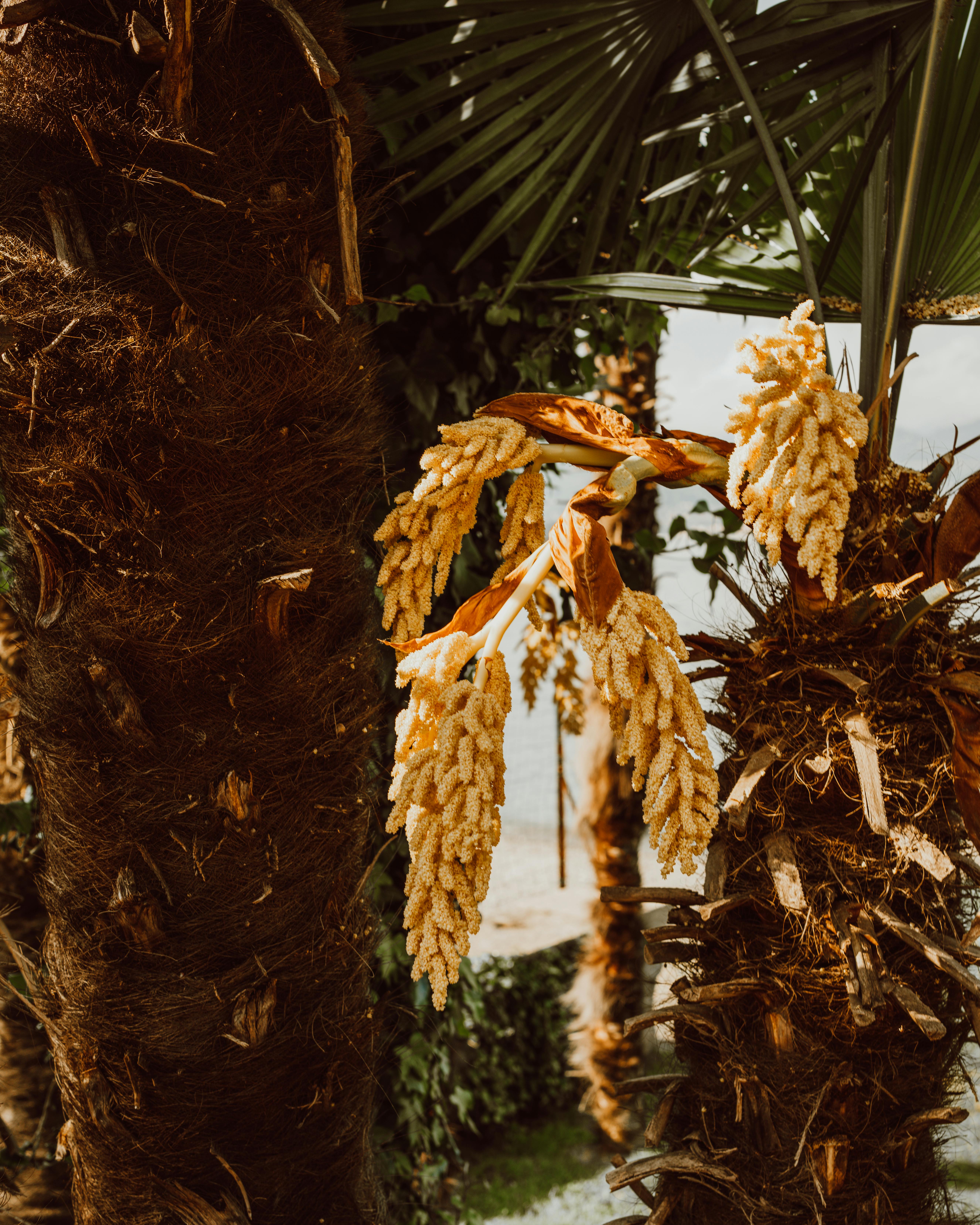 Decorative use of bark in a landscaped garden