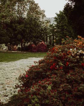 A beautiful garden in full bloom in Stresa, Italy, showcasing vibrant flowers and lush greenery.