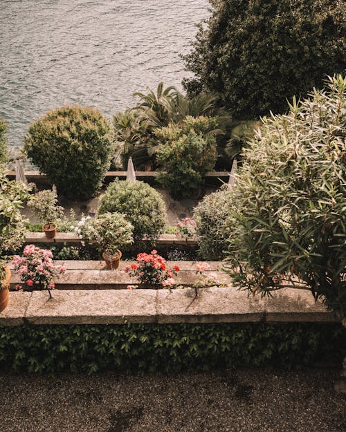 View of a Garden by the Lake Maggiore in Piedmont, Italy 