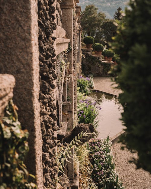 View of a Wall of a Building and a Garden 