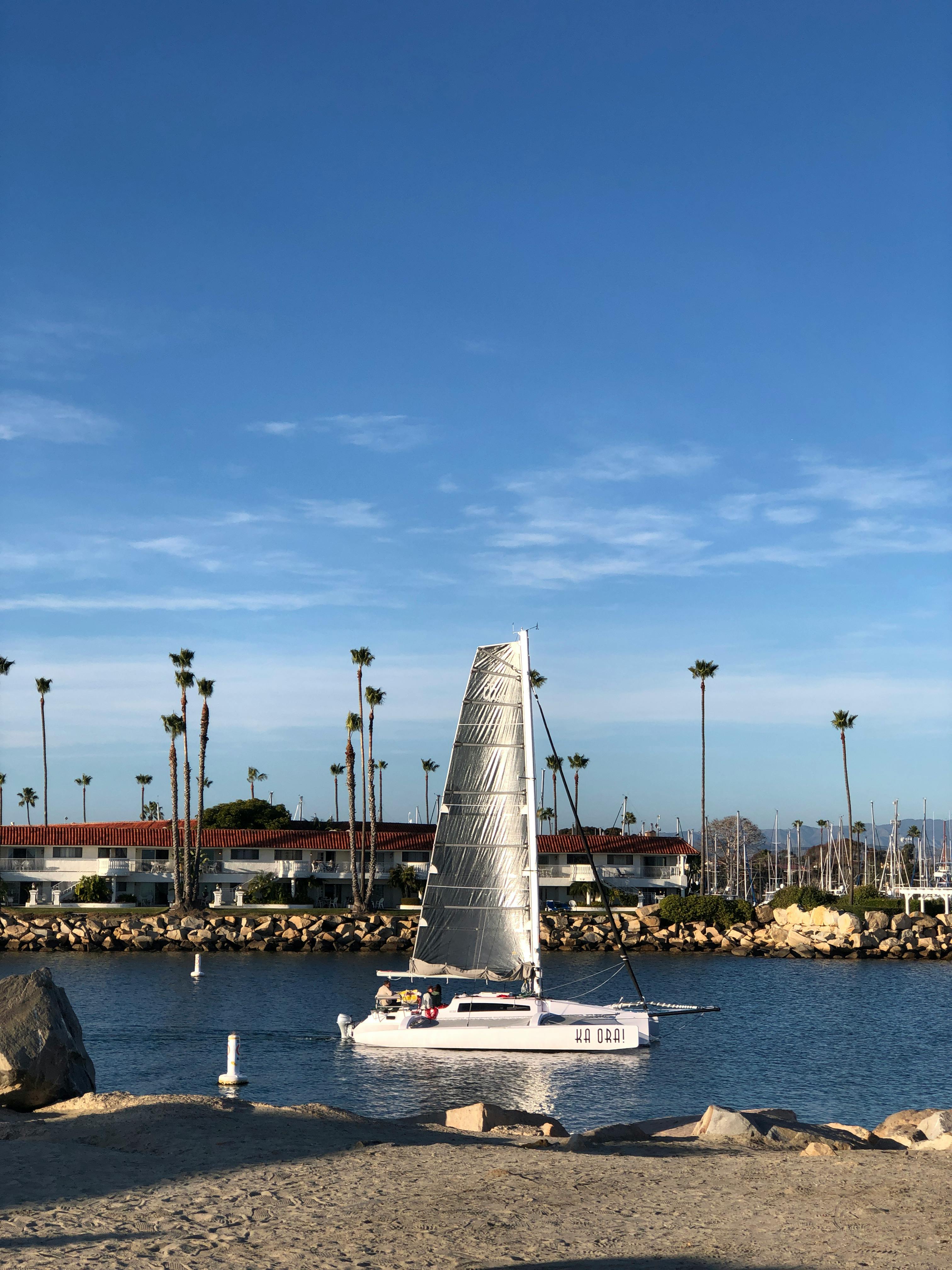 Free stock photo of harbor, ocean, sailboat