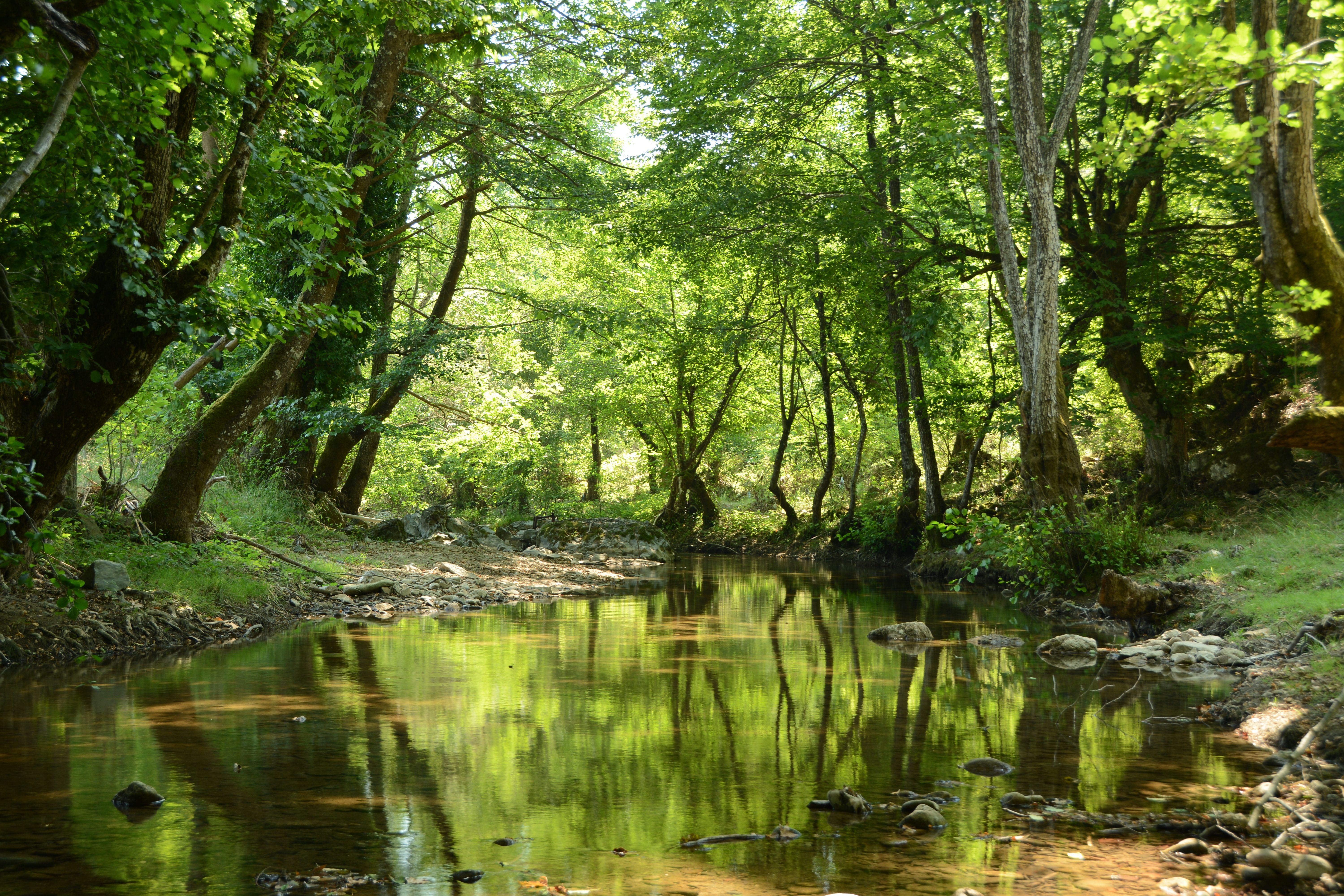 Parc Fluvial del Ripoll