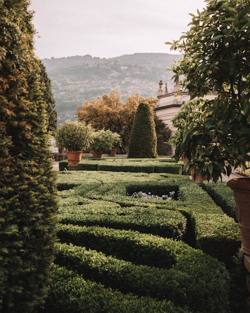 View of a Garden on Isola Bella, Lake Maggiore, Italy 