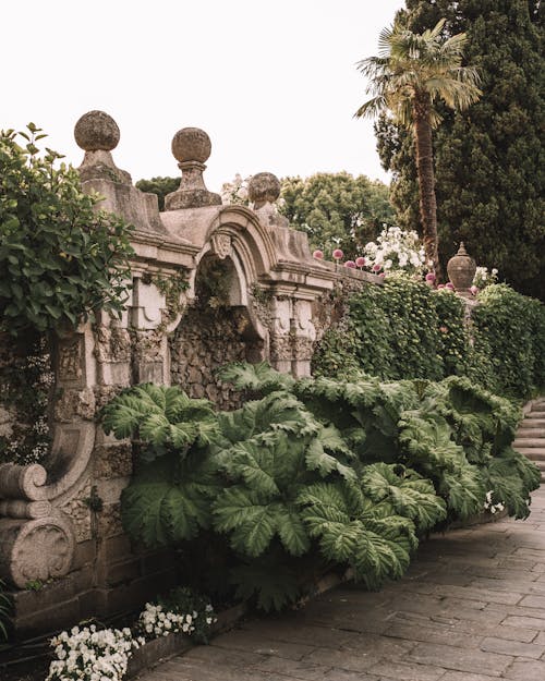 Tropical Plants in a Garden in Italy 
