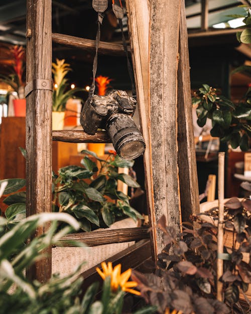 Foto profissional grátis de abandonado, câmera, de madeira