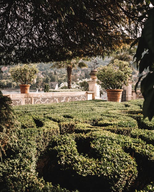View of a Garden on Isola Bella, Lake Maggiore, Italy