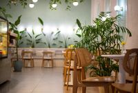 Cafe interior with wooden chairs and plants, photo by Arda Kaykısız on Pexels