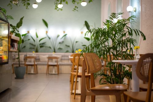 Cafe interior with wooden chairs and plants, photo by Arda Kaykısız on Pexels