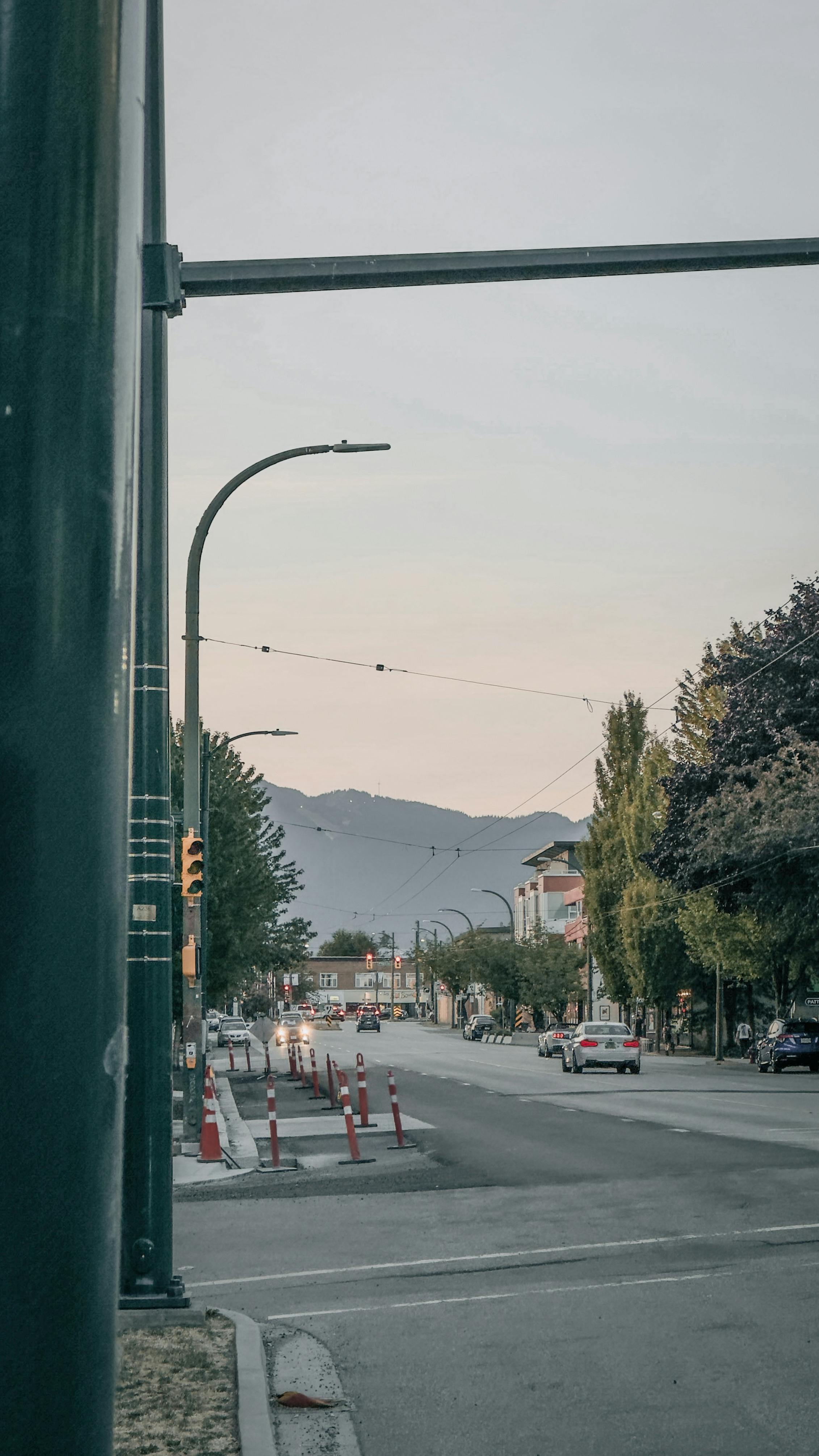 More Trees And Street Lamps 