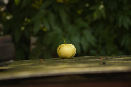 Δωρεάν στοκ φωτογραφιών με apple, επιλεκτική εστίαση, καρπός