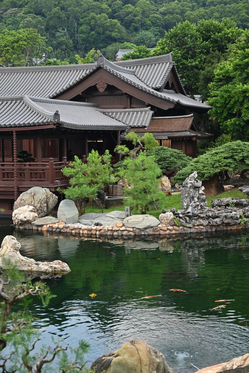 Timber pavilion and koi pond at Nan Lian Garden, Hong Kong