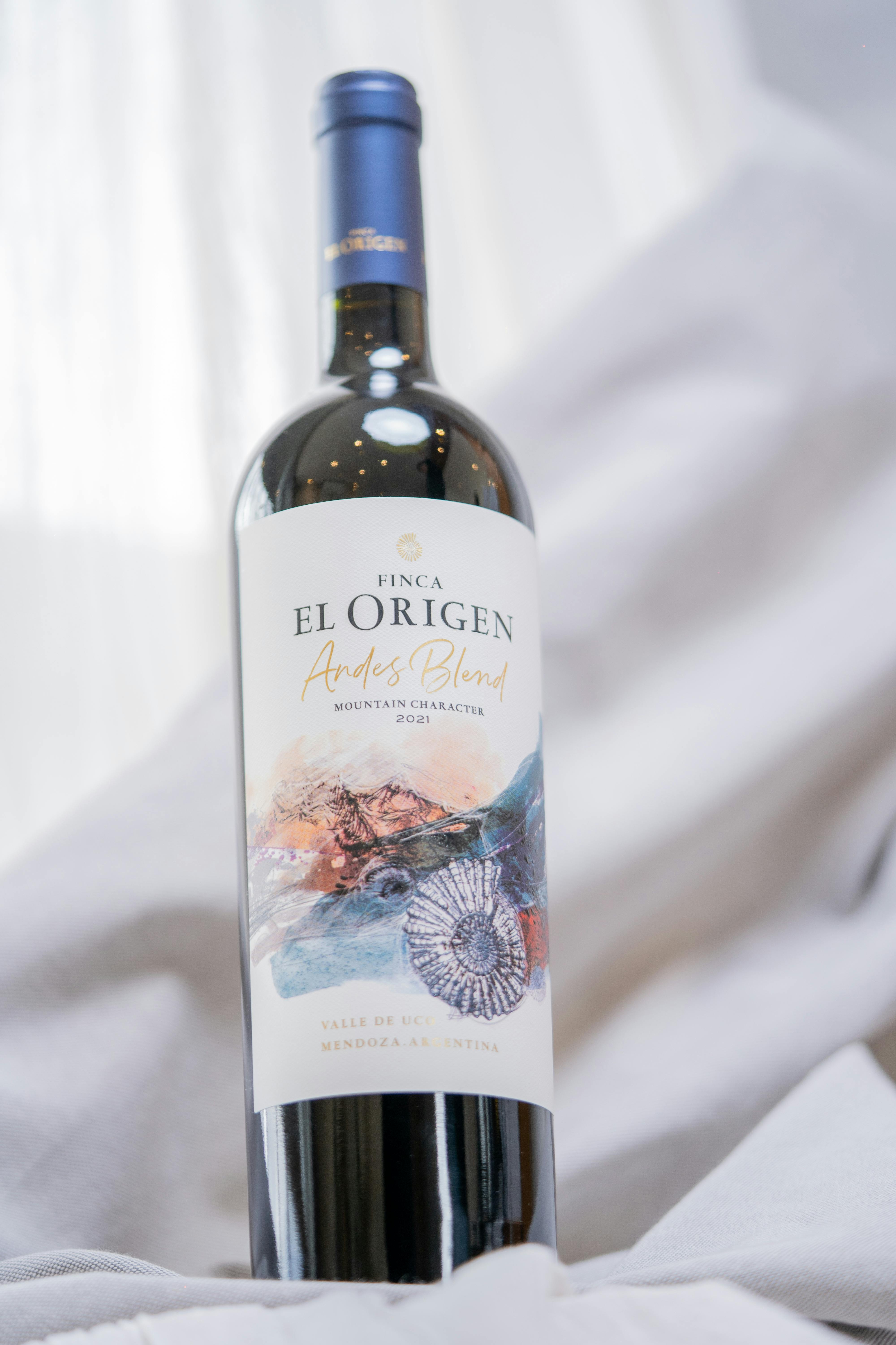 Ifarhu Concurso De Becas 2021: ¿Cómo Aumentar Tus Oportunidades? 4 Historias de Éxito: ¿Quiénes Ganaron en el Ifarhu Concurso de Becas 2021 y Qué Hicieron Diferente?