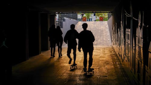 Kostenloses Stock Foto zu hinterleuchtet, männer, schatten