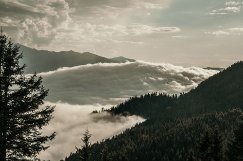 Free Serene aerial view capturing lush forests and dramatic cloud formations over hills in Rize, Turkey. Stock Photo