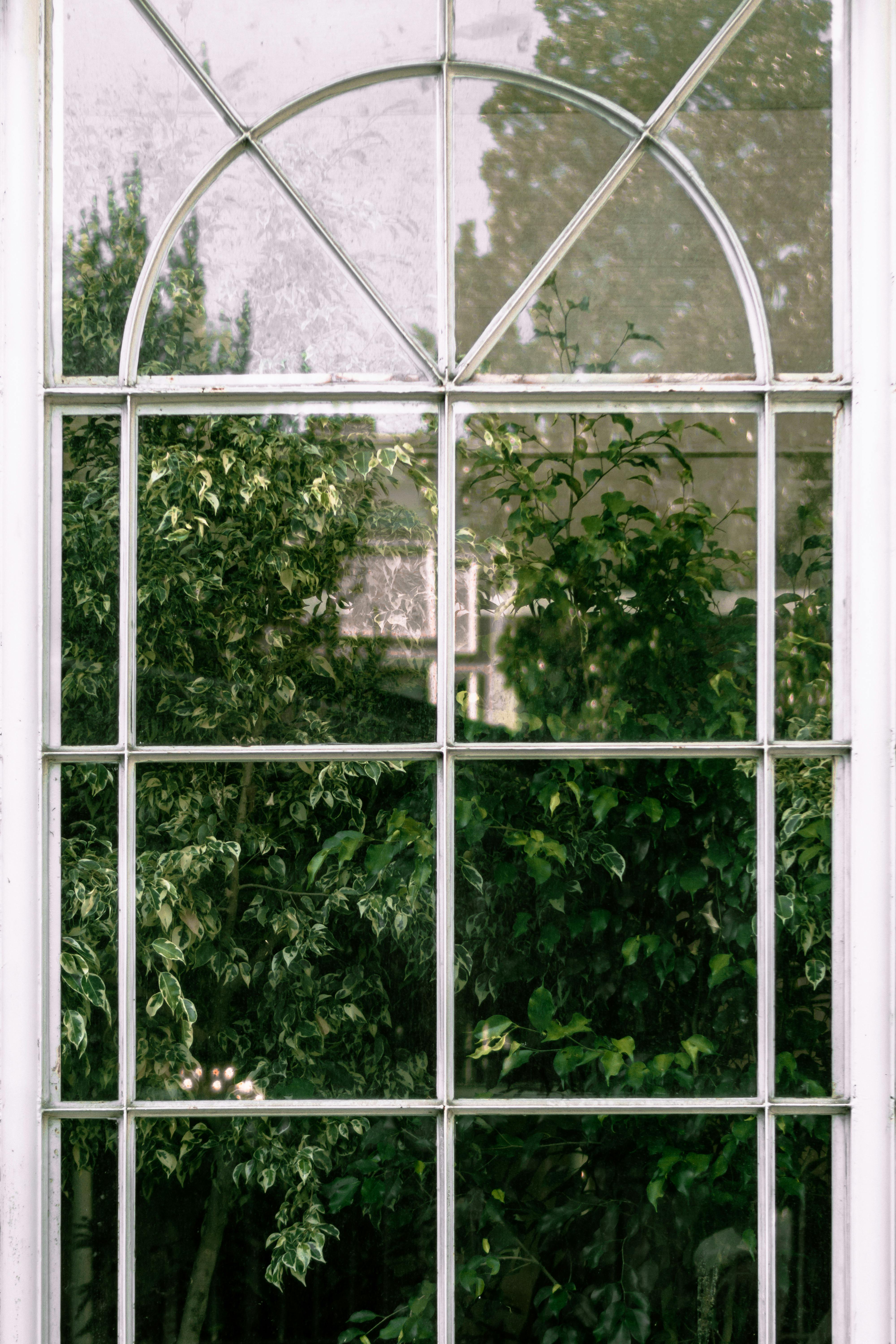 Tall elegant window reflecting lush green foliage creating a serene and natural view.