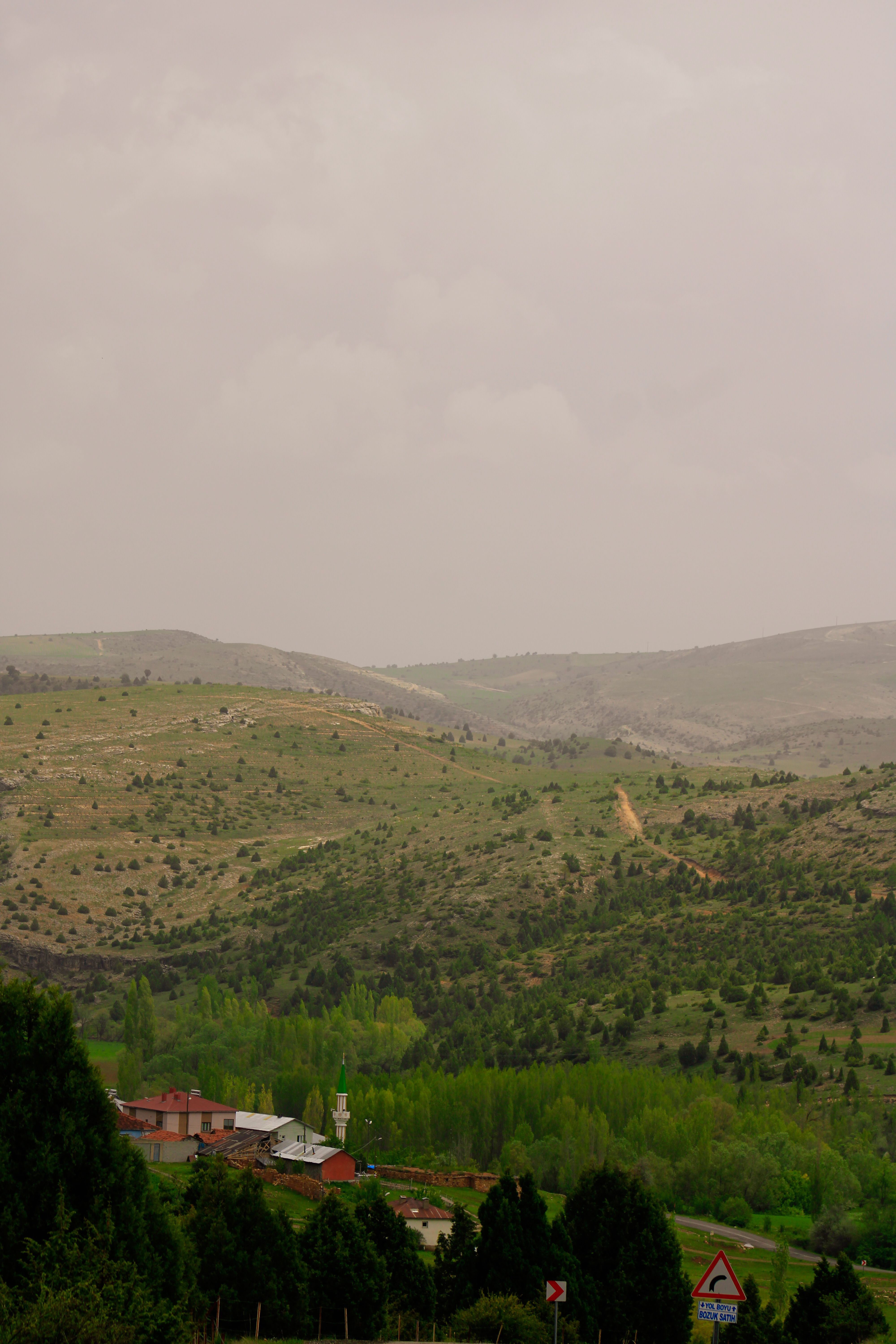 Explore the tranquil green hills of Sivas, Türkiye, showcasing rural charm and natural beauty.