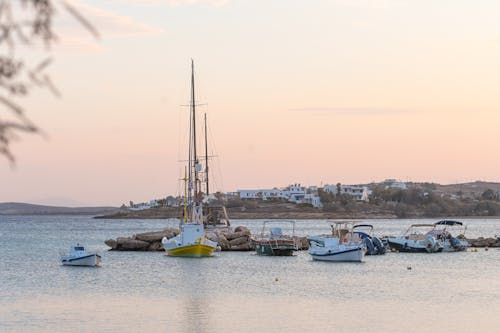 Boats Moored in Bay at Dawn
