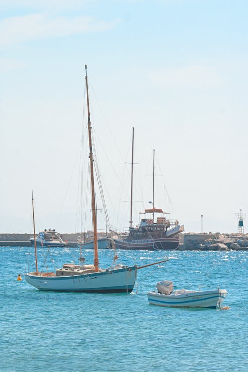 Watercrafts Moored in Harbor