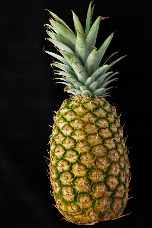 Free Fresh juicy pineapple against a dark studio backdrop. Stock Photo