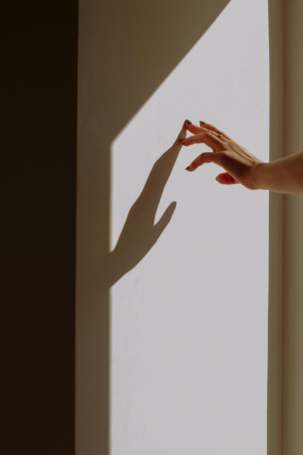 Shape and Cook: The Final Touch