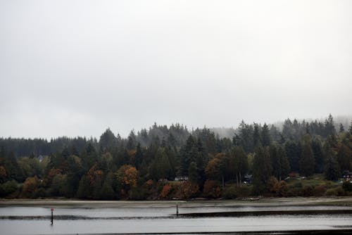 View of a Body of Water and a Forest in Autumnal Colors 