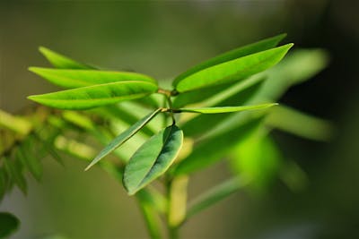 五字短句唯美句子 五字语句唯美