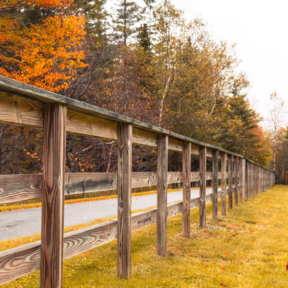 Fence and Decking Painting in Falconwood — careful masking before painting begins